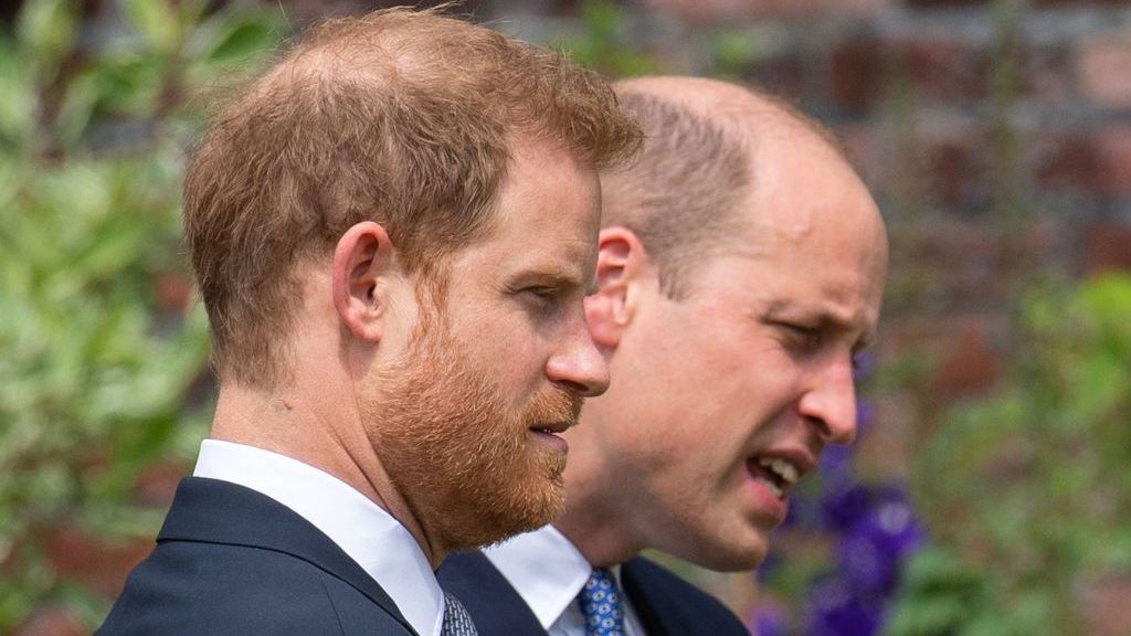 Príncipes Harry e William