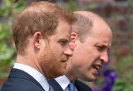Em momento raro, príncipes William e Harry marcarão presença em evento em homenagem a Diana
