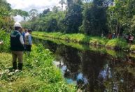 Pedido de CPI para investigar ONGs na Amazônia chega a 38 assinaturas no Senado