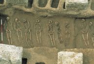 Como a Peste Negra ainda afeta o sistema imunológico humano