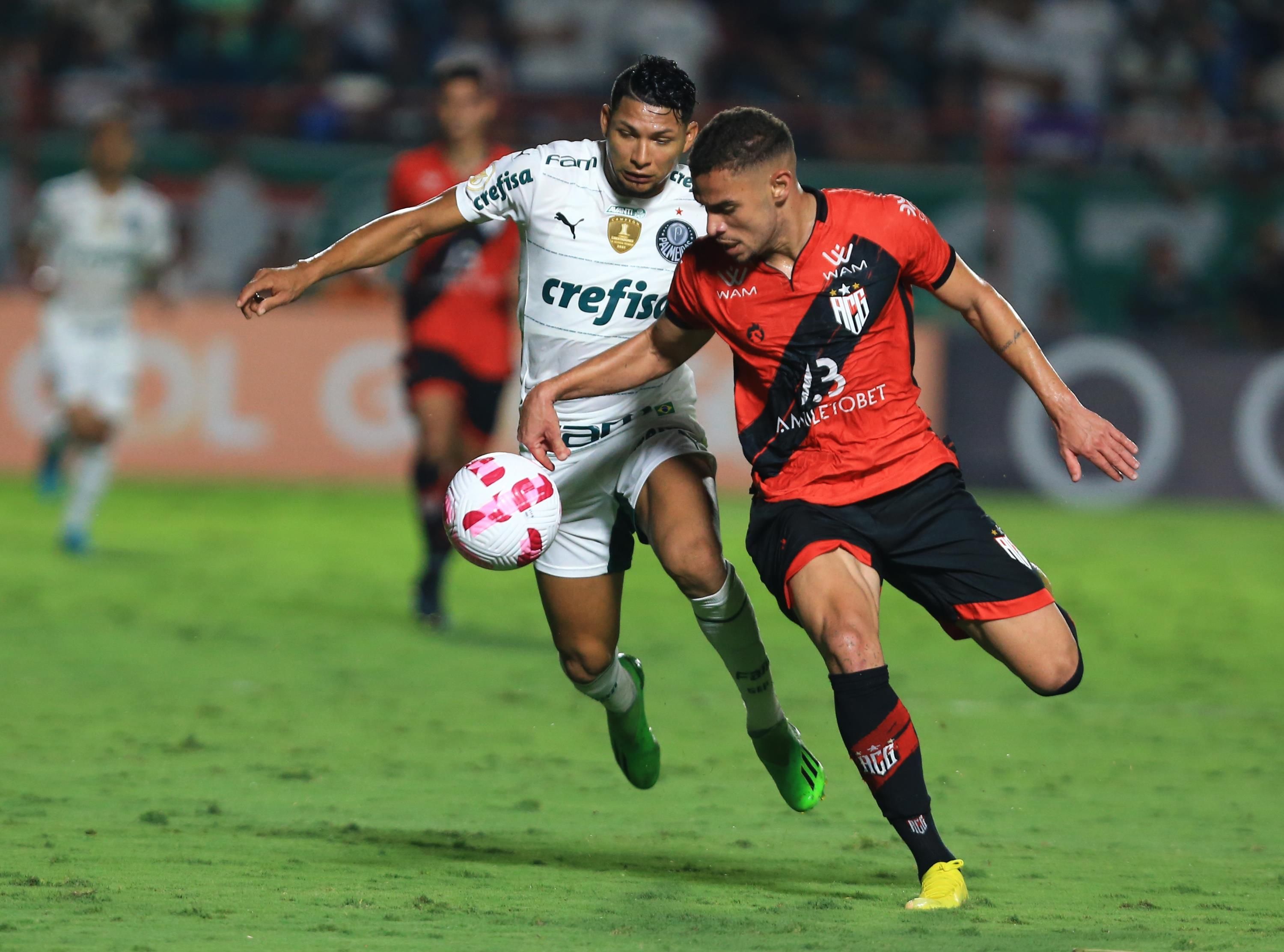 ATLÉTICO GO E PALMEIRAS CAMPEONATO BRASILEIRO SÉRIE A