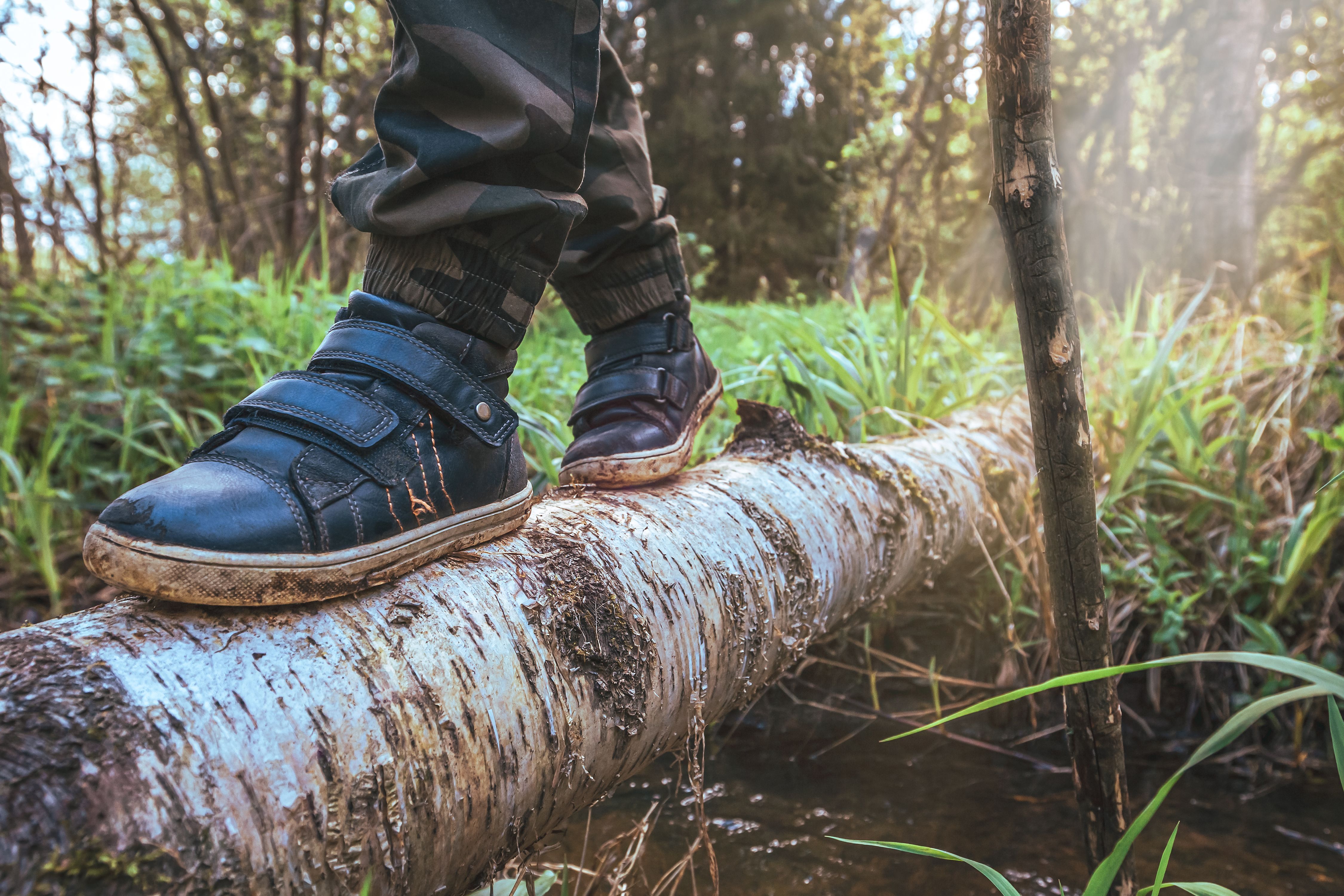 Close-up of child's feet in shoes crossing a forest stream along a tree trunk. The concept of solo walks with a pole in woodland