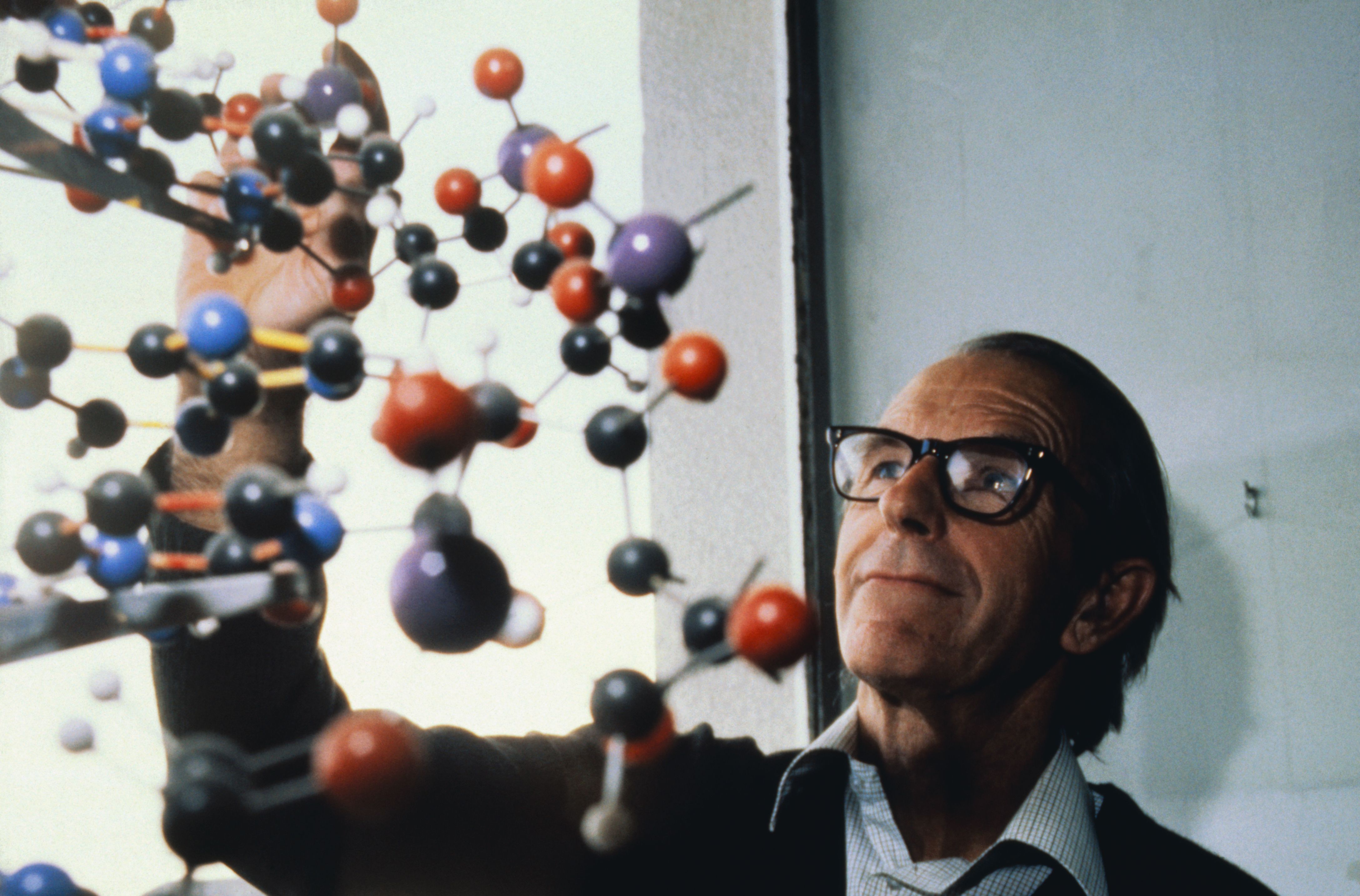 O bioquímico britânico Professor Frederick Sanger recebeu seu segundo Prêmio Nobel de Química em 1980. Aqui ele está olhando para um modelo de uma molécula de DNA. / Getty Images