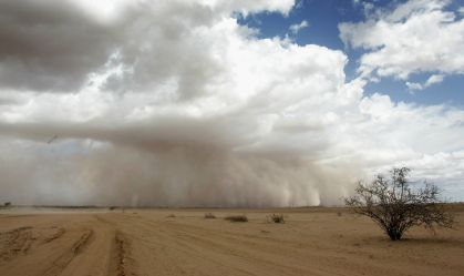 Seca no Quênia mata mais de mil animais selvagens em 2022