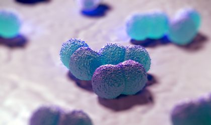 Verme que causa meningite é encontrado em moluscos de 26 cidades do RJ