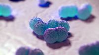Meningite: sintomas podem ser confundidos com Ebola?