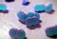 Brasil registra 886 mortes por meningite em 2023