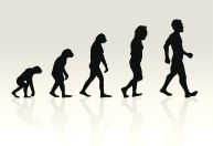 O que os estudos de Svante Pääbo, Nobel de Medicina, revelam sobre as origens da humanidade
