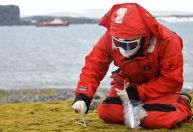 Fiocruz detecta fungo inédito em missão na Antártica