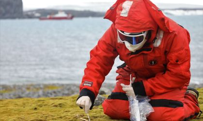 Fiocruz detecta fungo inédito em missão na Antártica