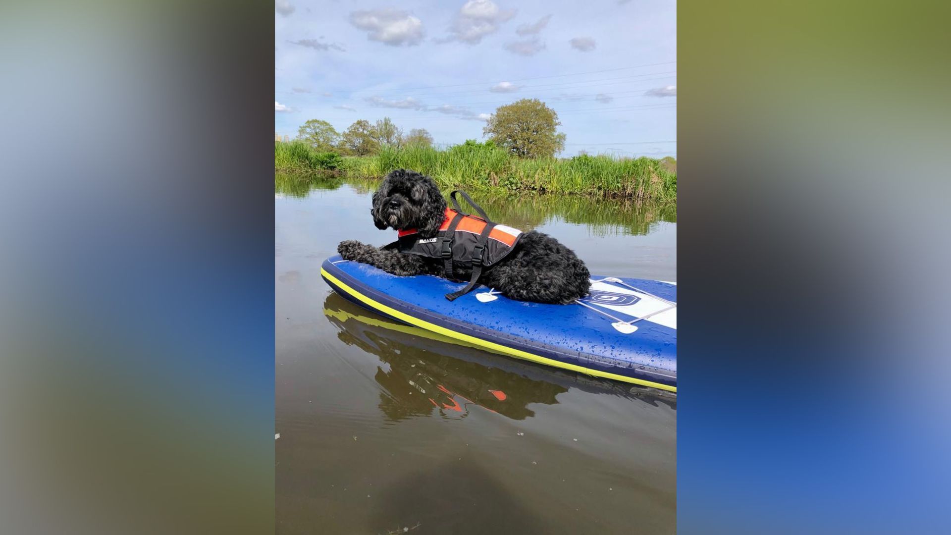 Quando não está coletando bolas perdidas, Marlo gosta de fazer stand-up paddle