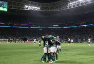 Palmeiras: WTorre pede troca de material do gramado do Allianz Parque