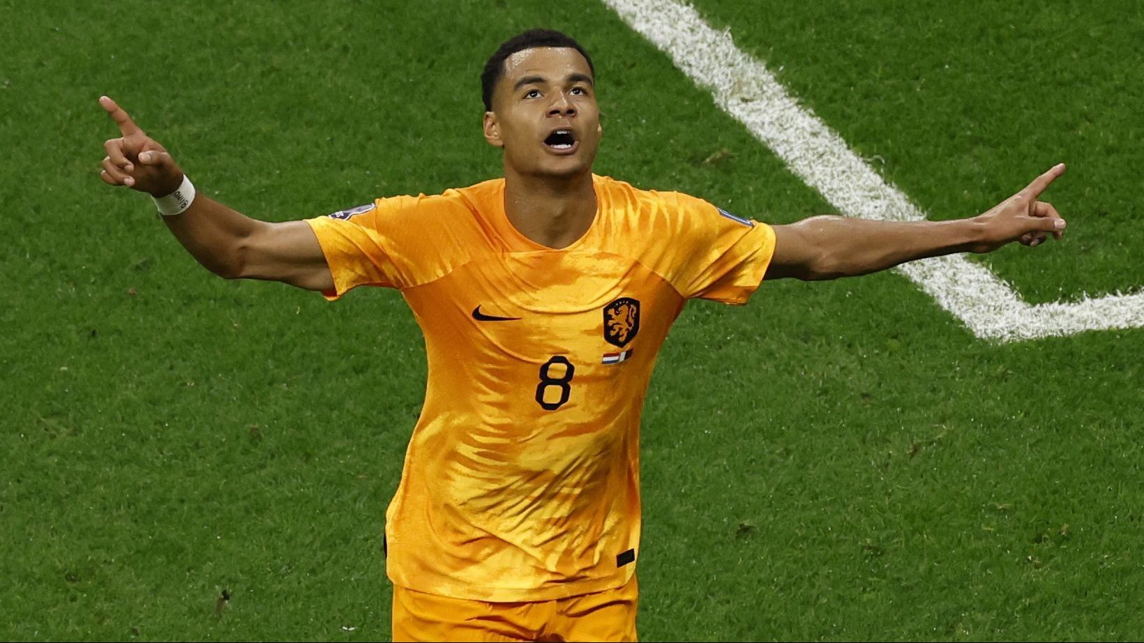Cody Gakpo comemora gol em vitória da Holanda sobre o Catar