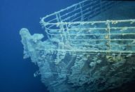 Mergulhadores descobrem vida marinha de milhares de anos próximo ao Titanic
