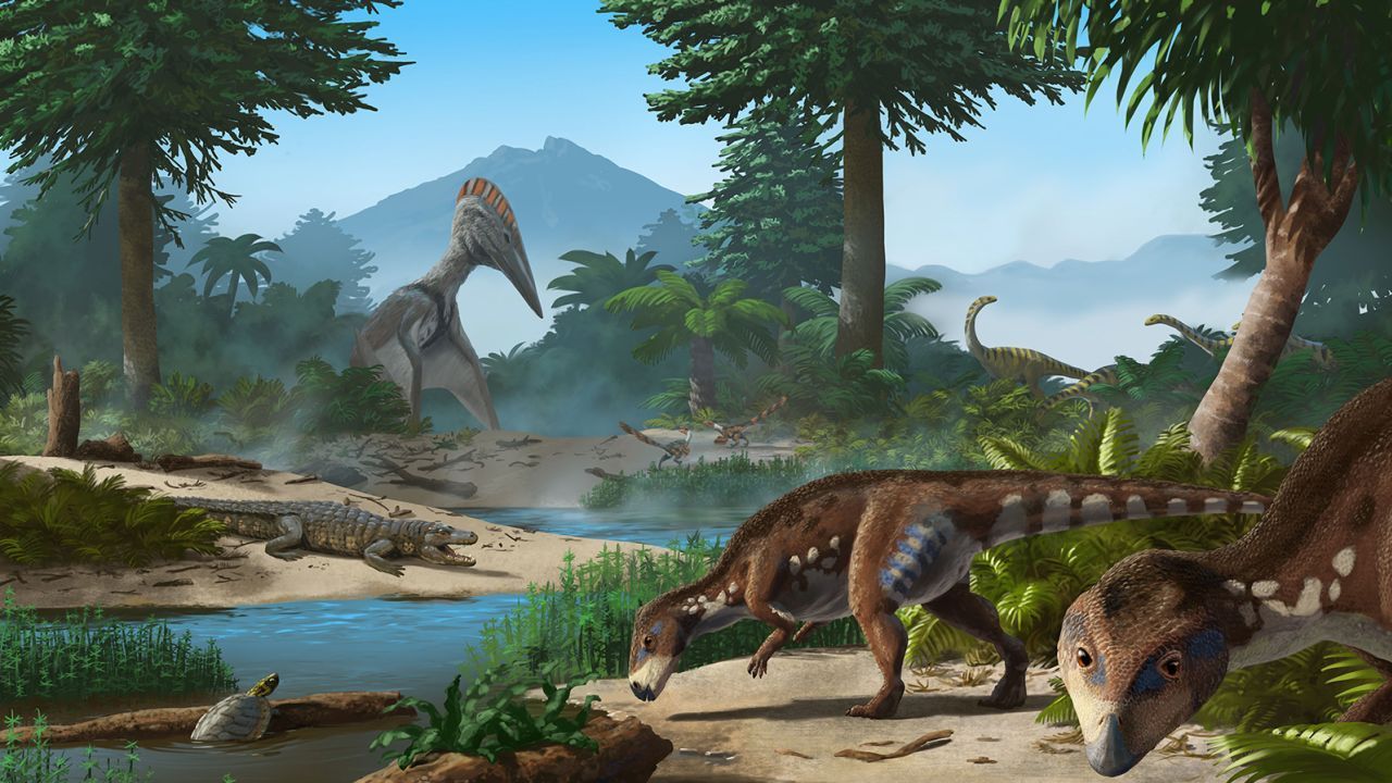 A cabeça chata do dinossauro era sua característica mais incomum / Felix Augustin/Peter Nickolaus/Dylan Bastiaans