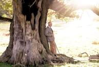 Engajado nas causas ambientais desde os anos 1970, rei Charles III pode influenciar em questões sobre clima e meio ambiente