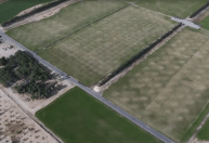 Cuidados com o gramado da Copa do Mundo do Catar envolvem água dessalinizada e refrigeração