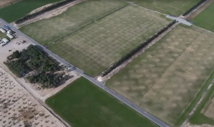Cuidados com o gramado da Copa do Mundo do Catar envolvem água dessalinizada e refrigeração