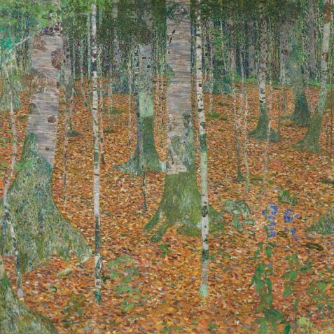 Trabalho de 1903 de Gustav Klimt "Birch Forest" / Christie´s