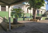 Interdição de asilo causa transferência de 60 idosos em Minas Gerais