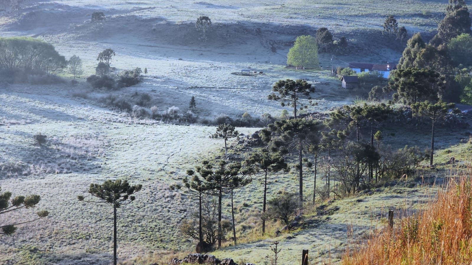 santa_catarina_neve_novembro (8)