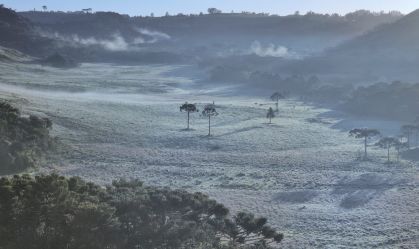 Santa Catarina registra neve em novembro pela primeira vez; veja imagens