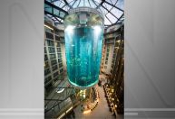 Com 1.500 peixes, aquário gigante explode em Berlim