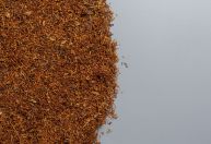 Nova Zelândia proíbe venda de tabaco para pessoas nascidas a partir de 2009