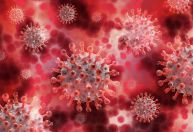 Descoberto gene que pode proteger contra a Covid-19