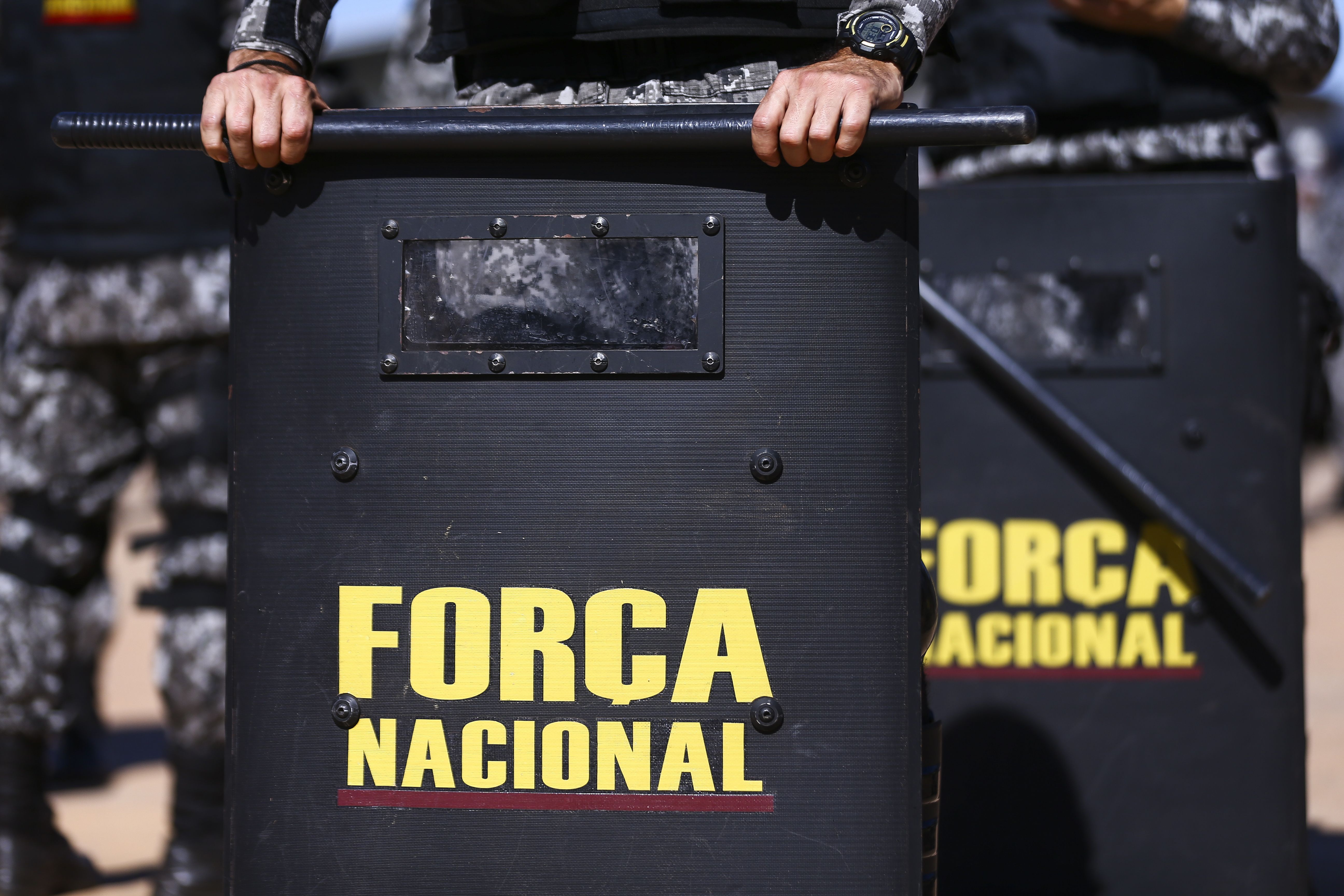 força nacional de segurança