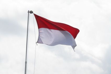 Bandeira da Indonésia