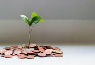 7 em cada 10 empresas brasileiras adotam alguma prática de ESG