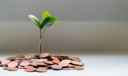 Conheça a start-up de tecnologia mais promissora da Arábia Saudita, focada em compensar emissões de carbono