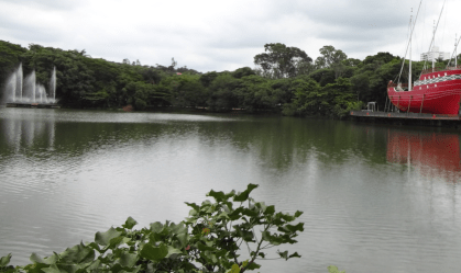Criança morre após queda de árvore no Parque do Taquaral, em Campinas