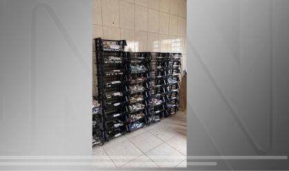 Cinco pessoas são presas por falsificação e comércio de anabolizantes em SP