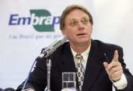 Ex-presidente da Embrapa, Silvio Crestana é cotado para reassumir posto