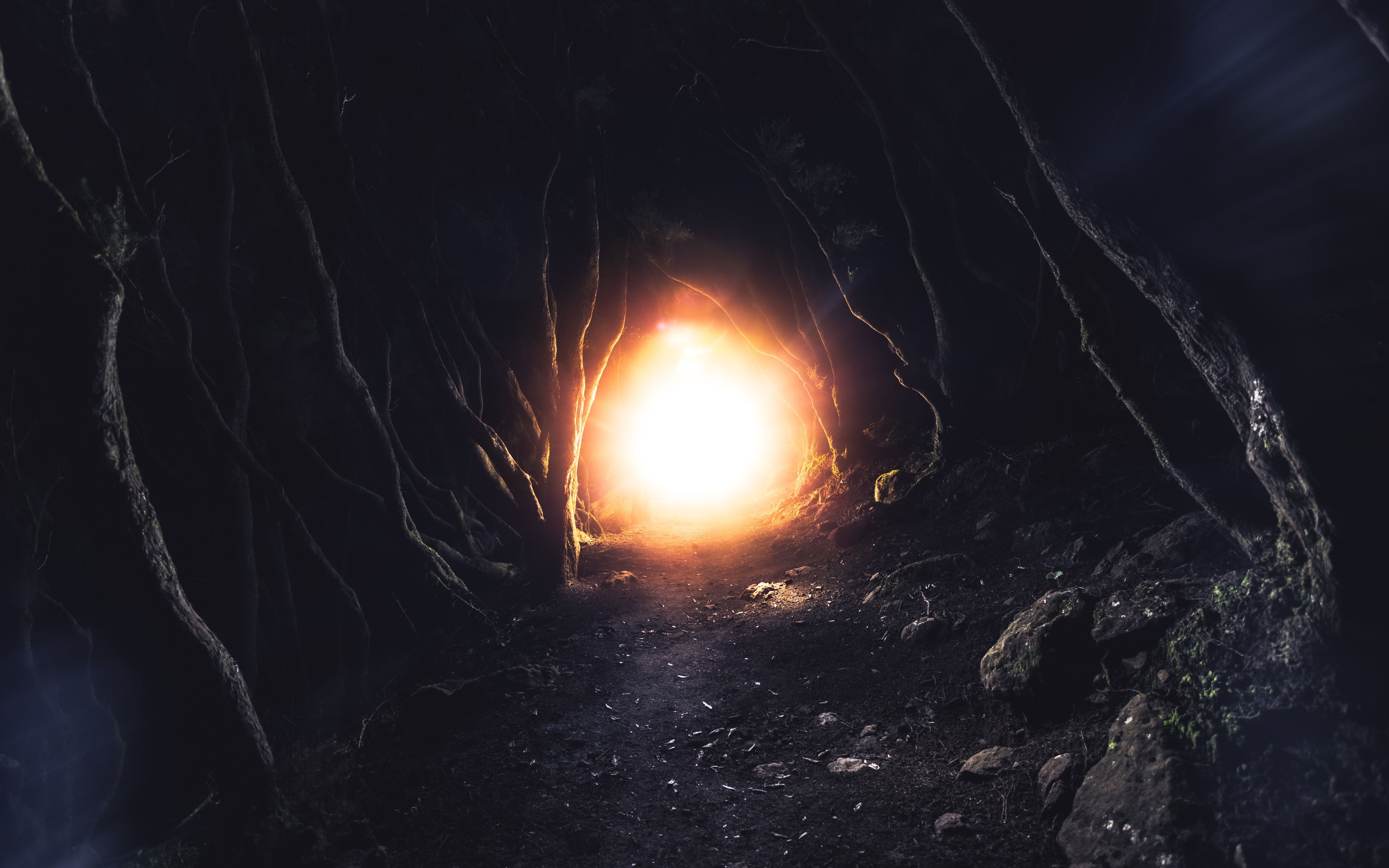 / Marek Piwnicki/Unsplash