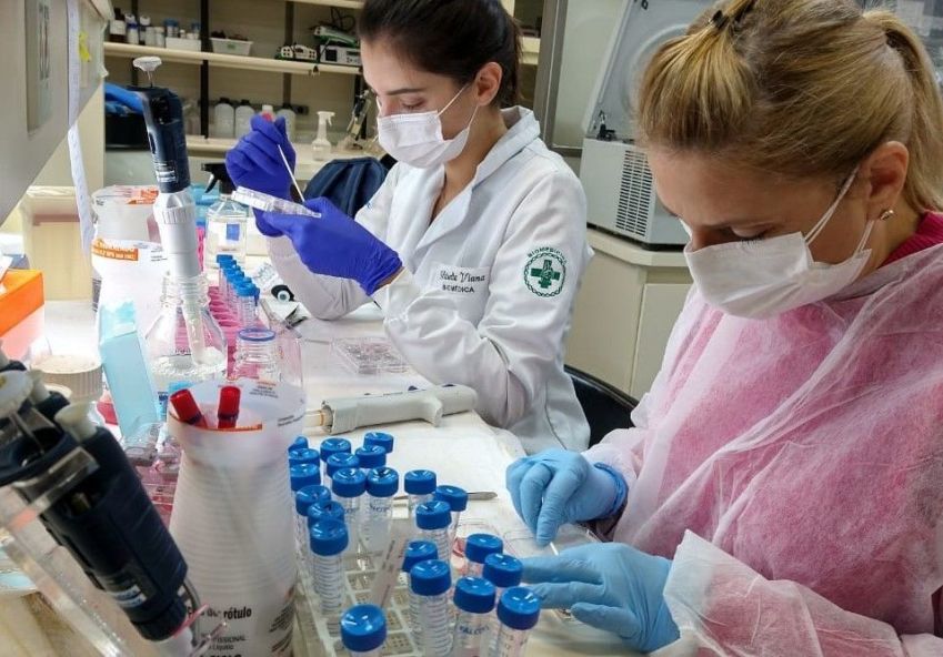 Material biomimético pode ser produzido em larga escala e reduzir o uso de animais na indústria / Acervo pessoal