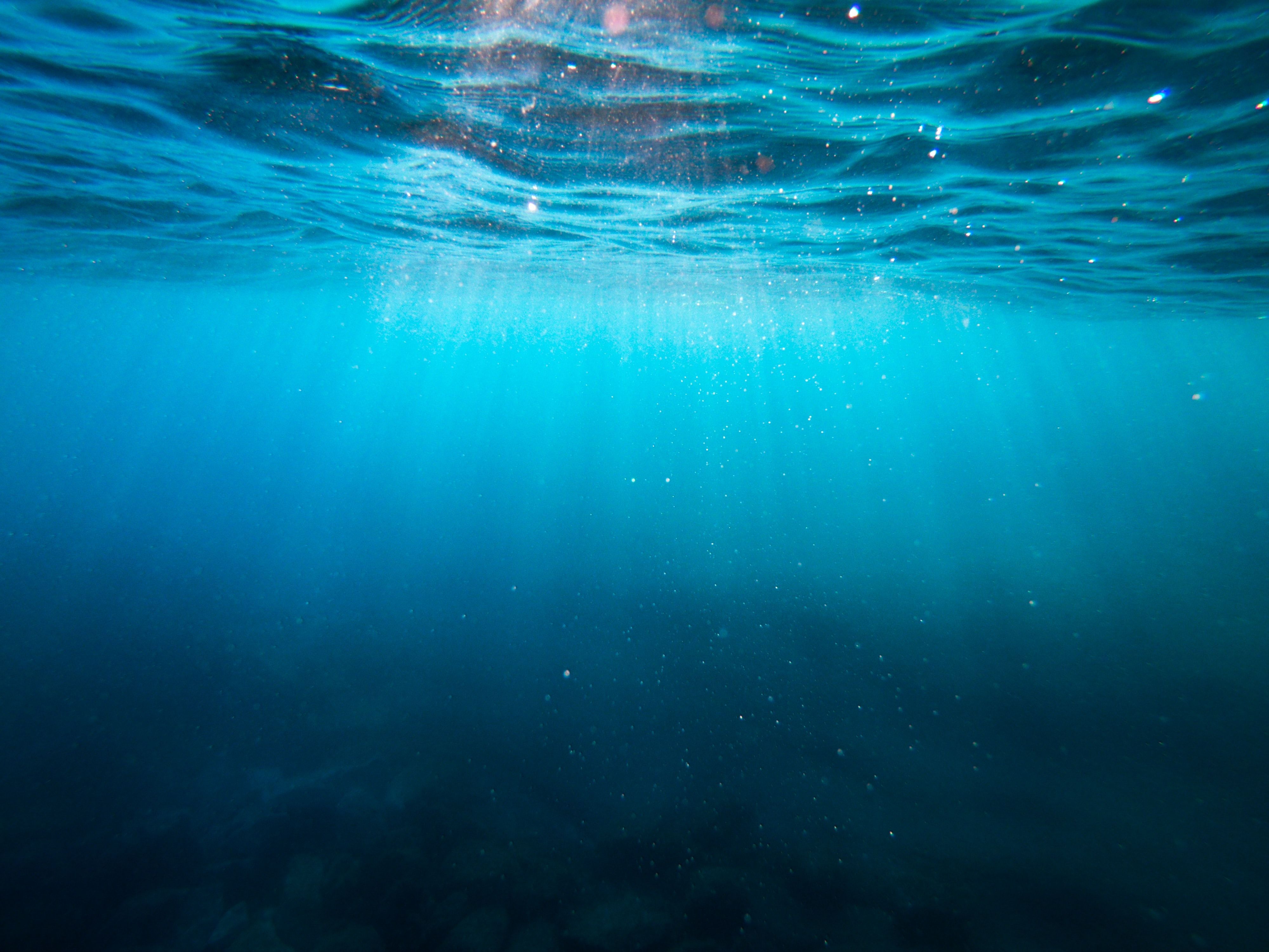 mar-unsplash