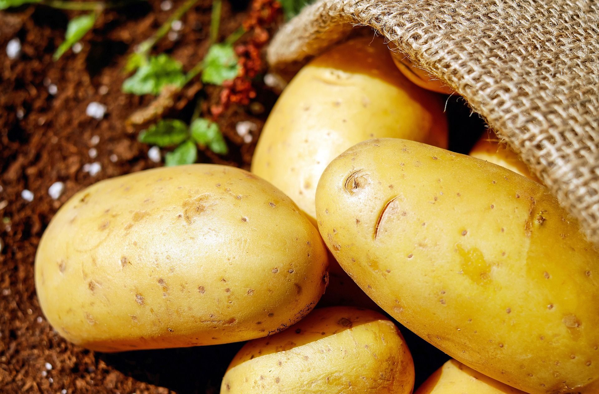 potatoes-g00cfd8d93_1920