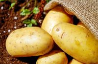 Comida mais cara: inflação de alimentos sobe a 1,33% e alerta agro