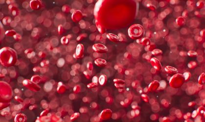 Sangue / hemofilia / sanguinea