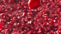 Dia dos Namorados: quanto sangue é preciso para "namorar"? Entenda