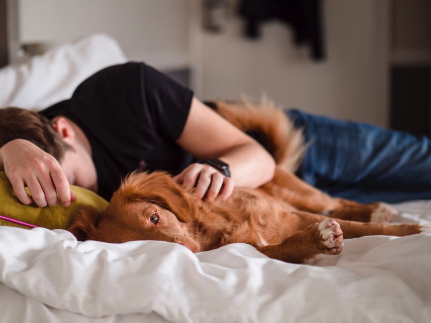 tirar uma soneca curta, de 5 a 15 minutos, no início da tarde pode beneficiar aqueles que precisam / Jamie Street/Unsplash