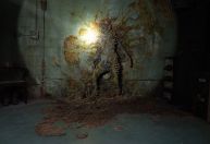 Aspergillus flavus: conheça os fungos reais que inspiraram "The Last of Us"