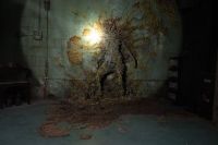 Aspergillus flavus: conheça os fungos reais que inspiraram "The Last of Us"