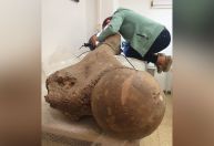 Neandertais caçavam elefantes imensos no norte da Europa