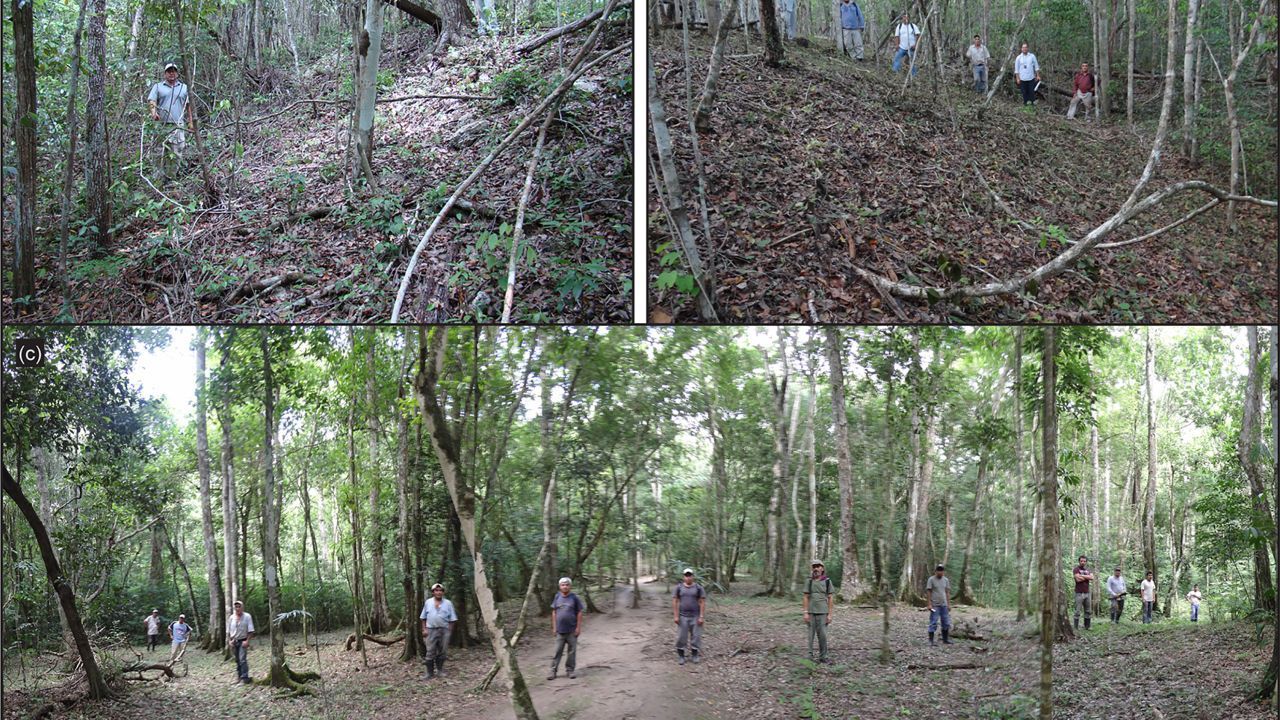 As calçadas foram construídas e elevadas acima dos pântanos e da densa flora da floresta usando camadas de lama, pedra de pedreira e cimento de calcário. No topo das estradas elevadas havia uma espessa camada de gesso branco / Universidade de Cambridge