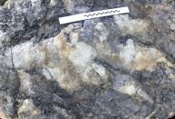 Pegada de dinossauro de tamanho recorde aparece na costa do Reino Unido