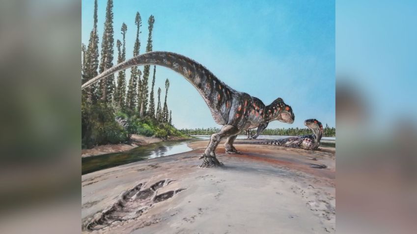A ilustração mostra um megalossauro, o dinossauro que se acredita ter deixado a pegada. / Universidade de Manchester